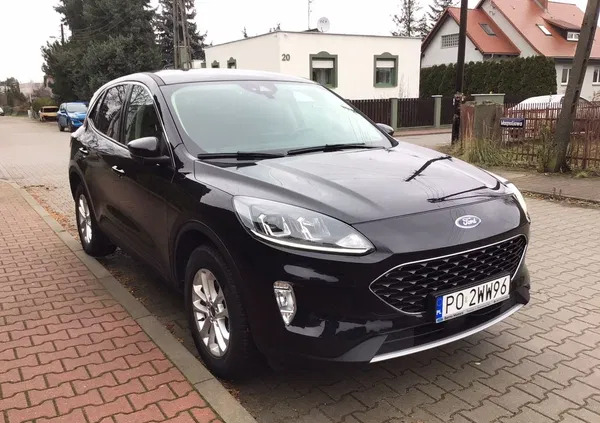 ford kuga lubuskie Ford Kuga cena 77500 przebieg: 19400, rok produkcji 2020 z Poznań